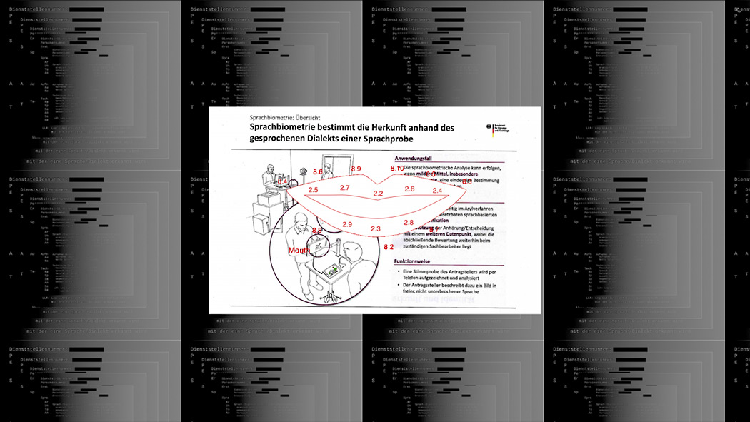 On the Apparently Meaningless Texture of Noise by Pedro Oliveira